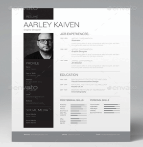 plantillas curriculum vitae