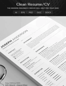 plantillas curriculum vitae para rellenar