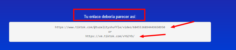 ejemplo de enlace para descargar video en sssTIKTOK