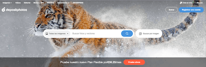 depositphotos banco de videos gratis alta resolucion