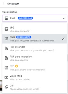 descargar diseño de la plataforma