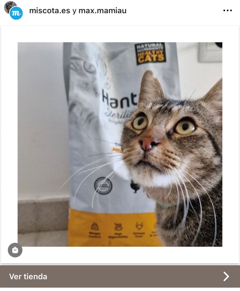 publicidad en redes sociales en tienda de animales