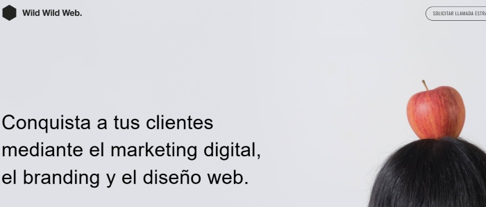 Agencia digital en Madrid wildwildweb